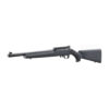 Ruger 10/22 Carbine Rifle, 22LR, 16.12